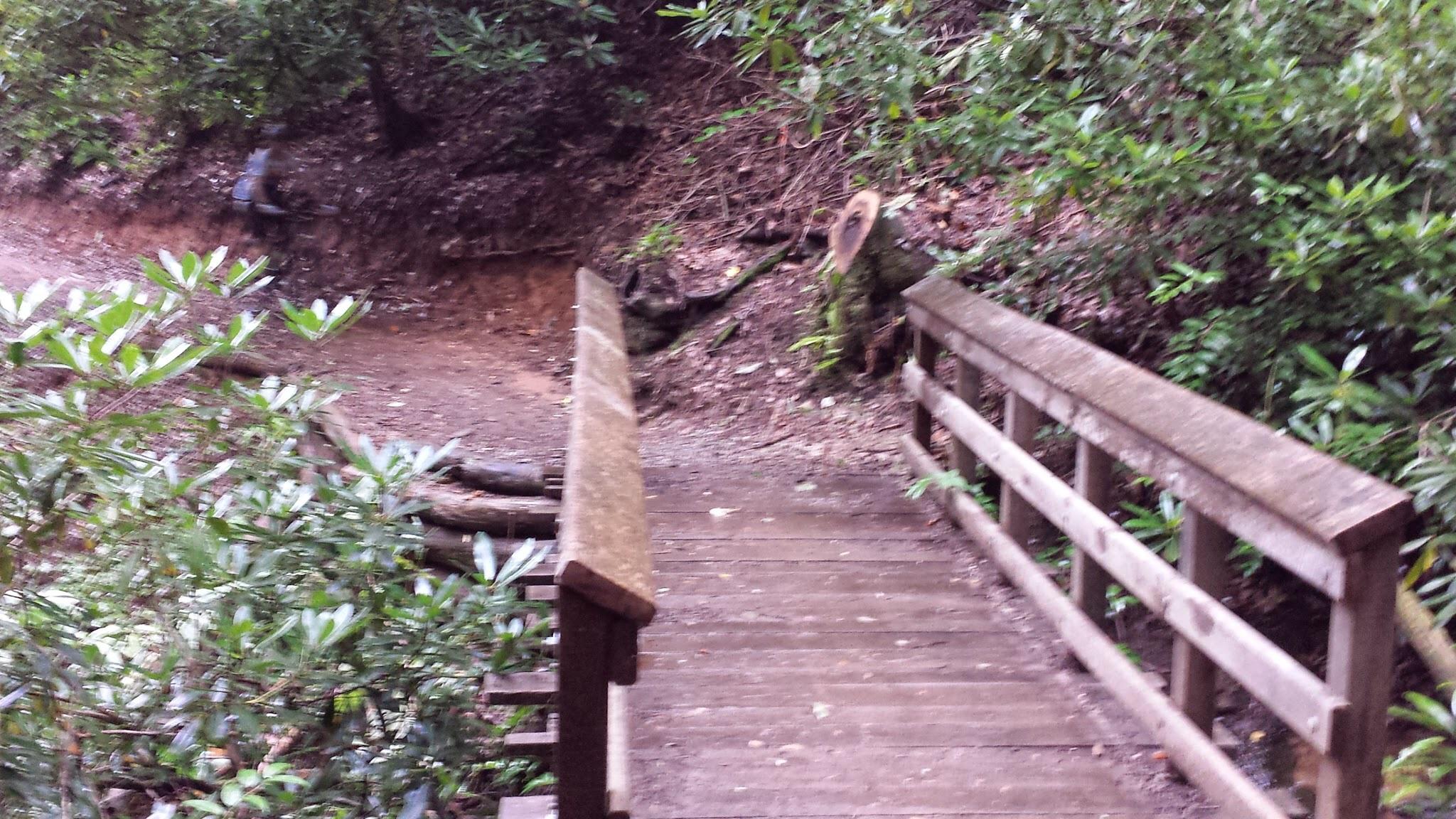 A wooden bridge over a small dirt path in a lush, green forest. Surrounding vegetation includes dense shrubs and small trees, creating a tranquil natural setting. The ground near the bridge is slightly uneven and woodland debris can be seen. Bracken Preserve mountain bike trail.