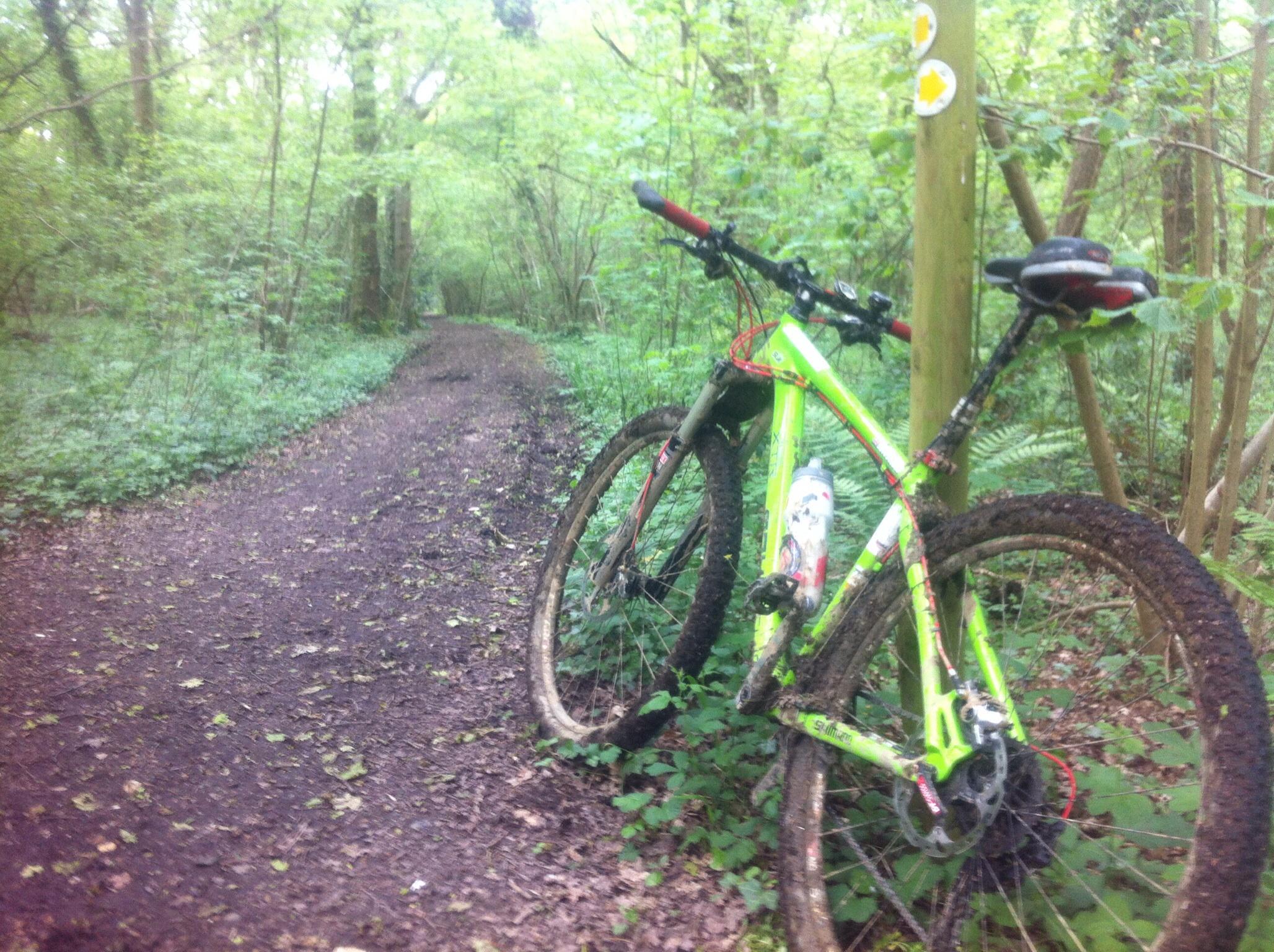 Kinesis FF29: Mountain bike resting on a muddy path in a green forest, surrounded by trees and foliage. A water bottle is attached to the bike frame, and there are trail markers on a post nearby.