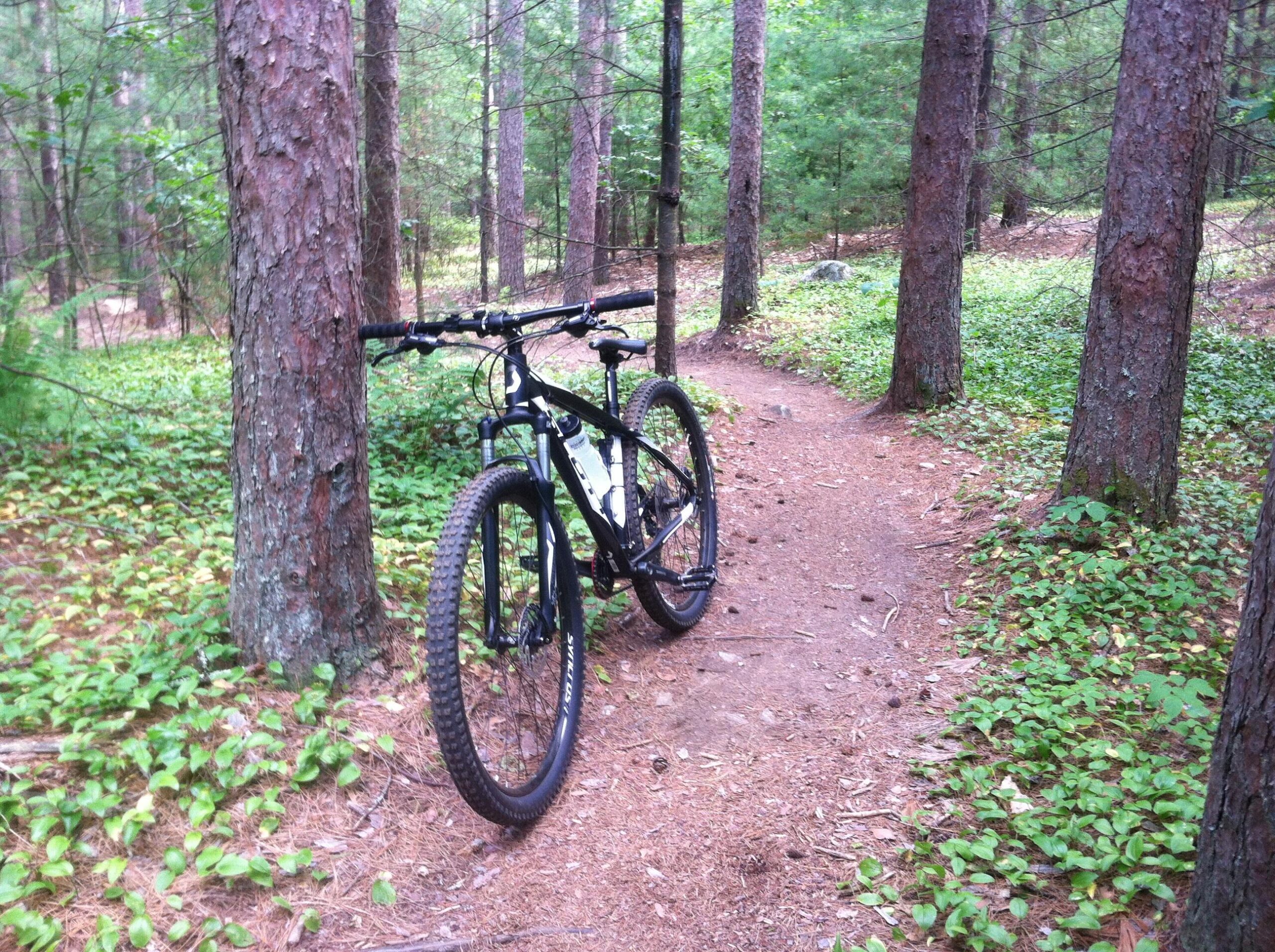 Scott aspect 940: A black mountain bike parked beside a dirt trail in a dense forest, surrounded by tall trees and lush green undergrowth. The path winds through the woods, showcasing a peaceful natural setting ideal for outdoor activities.