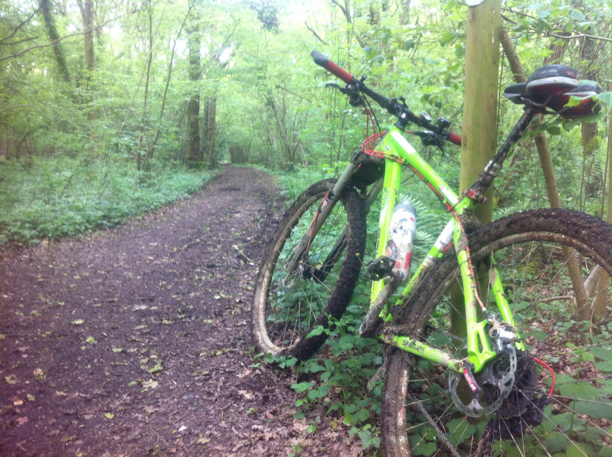 Kinesis FF29: Alt text: A bright green mountain bike with muddy tires stands beside a dirt trail in a lush, green forest. The path winds through trees and foliage, with scattered leaves on the ground.