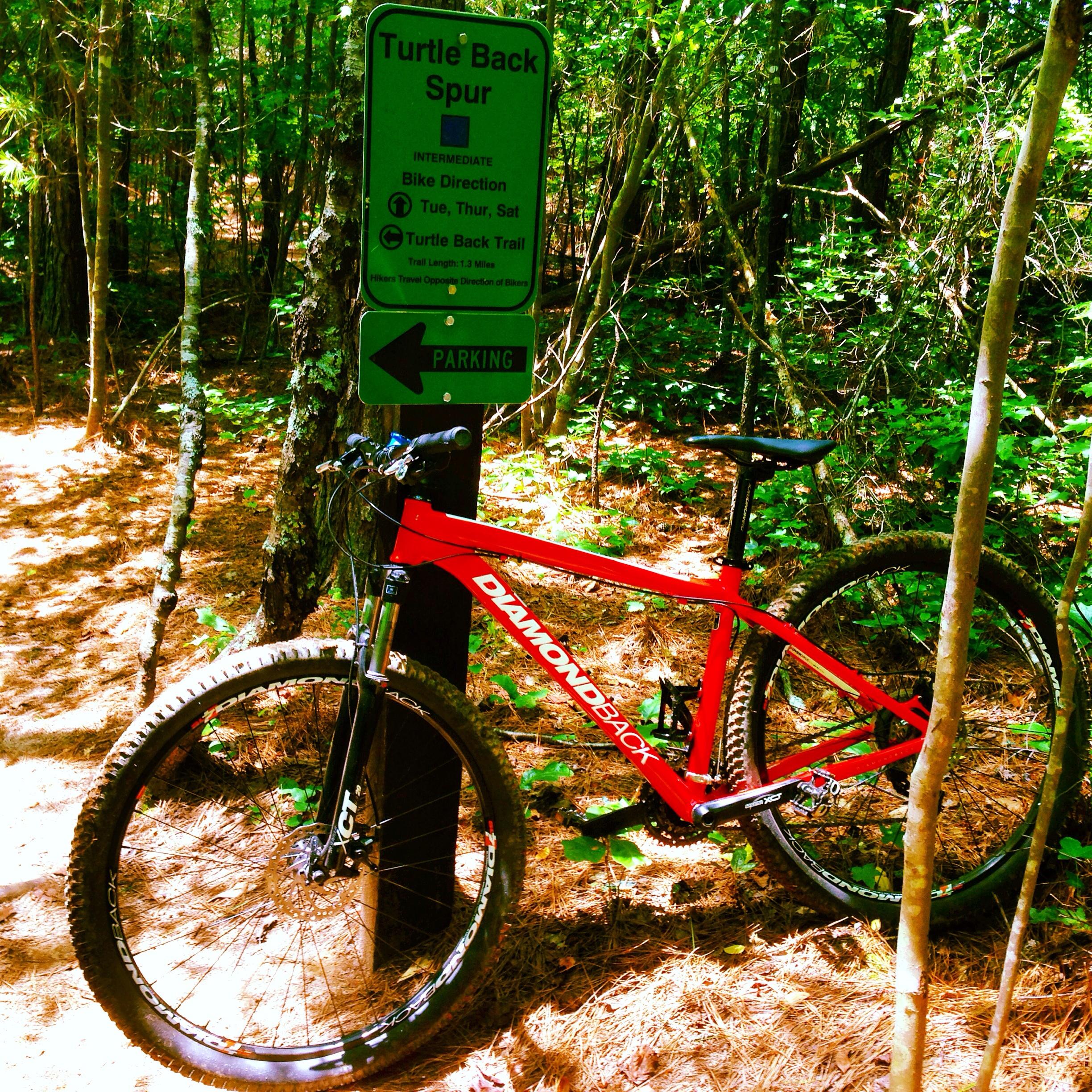  Allatoona Creek Park mountain bike trail.