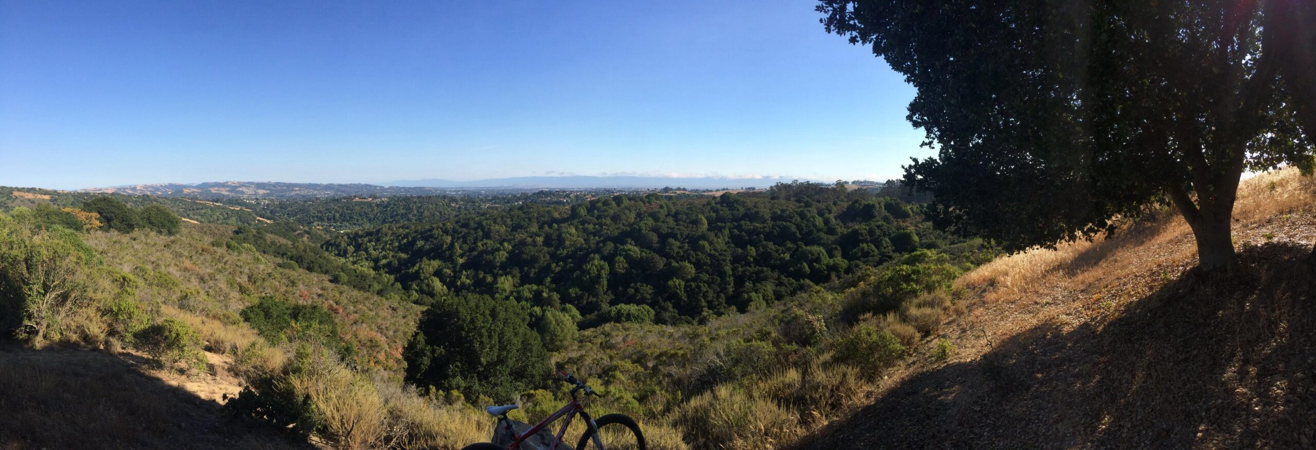 Panoramic view of a lush green valley with trees and hills under a clear blue sky. In the foreground, a bicycle rests on the ground, and the landscape stretches out to the horizon, showcasing rolling hills and a distant body of water. Anthony Chabot Regional Park mountain bike trail.