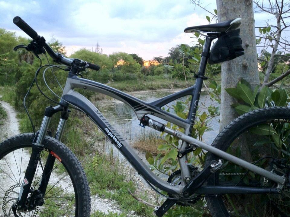 A mountain bike resting against a tree near a scenic trail, with a body of water and lush greenery in the background, under a cloudy sky at dusk. Quiet Waters Park mountain bike trail.