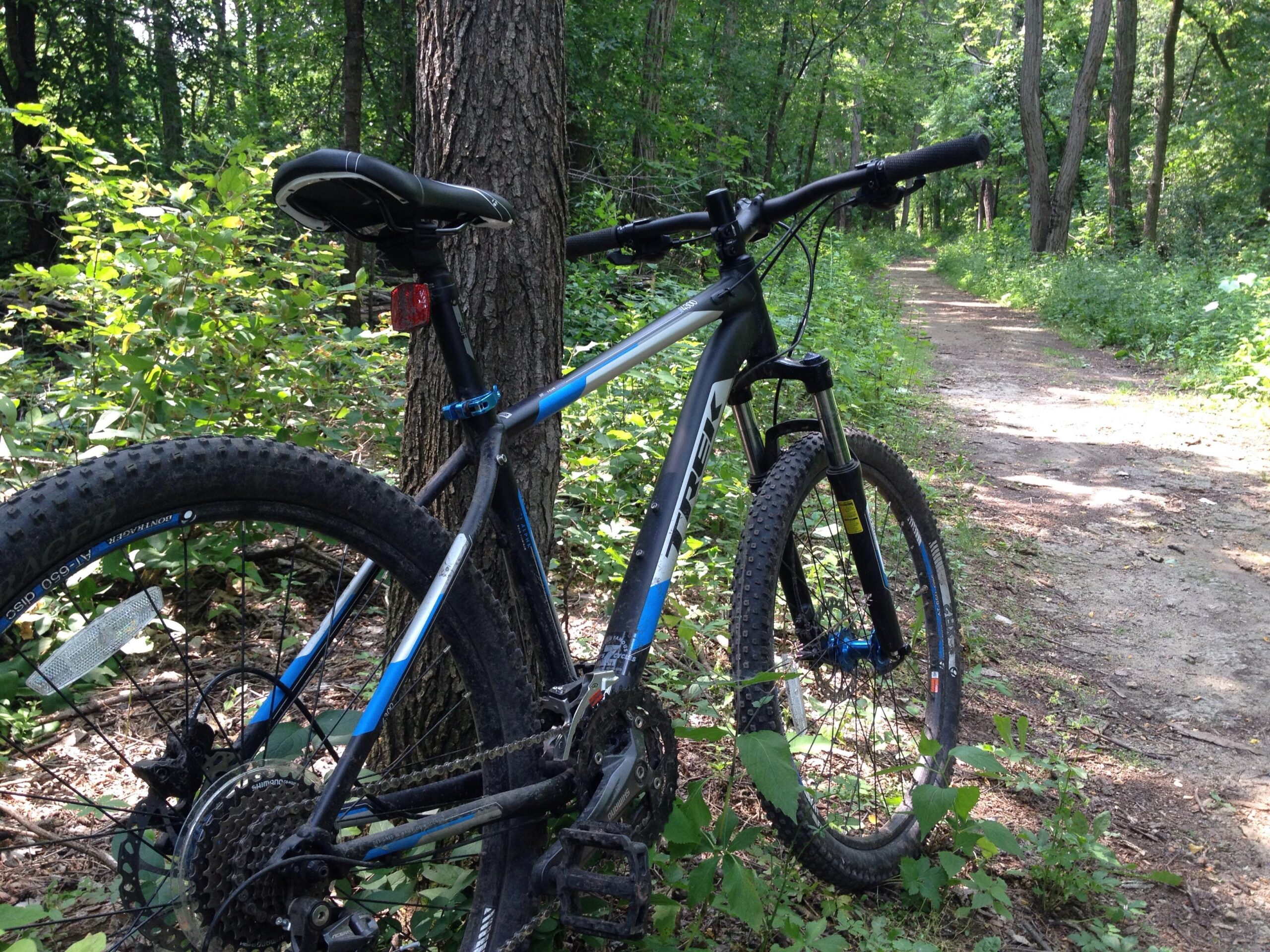 Trek 4300 Disc: A mountain bike resting against a tree on a narrow dirt path surrounded by lush green foliage and sunlight filtering through the trees.