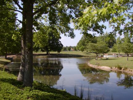 A serene park scene featuring a calm pond surrounded by lush greenery. Tall trees provide shade, while the grass is well-maintained. In the background, distant trees and benches are visible, creating a peaceful and inviting landscape. Lenora Park Paved Trail mountain bike trail.