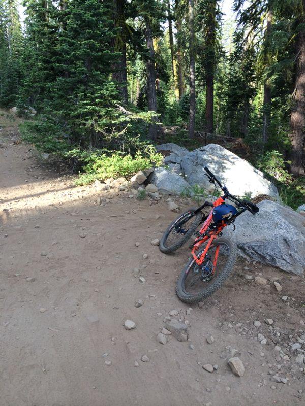 A mountain bike leans against a large rock on a dirt trail surrounded by tall trees and greenery, with sunlight filtering through the forest. Hole In The Ground mountain bike trail.