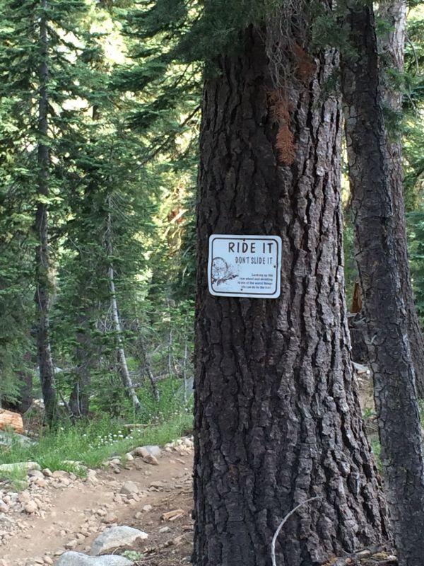 A wooden tree trunk in a forest setting with a sign that reads "RIDE IT, DON'T SLIDE IT." The sign features an illustration and is mounted on the tree, surrounded by lush greenery and a dirt path in the background. Hole In The Ground mountain bike trail.