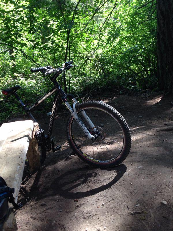 A black mountain bike leaning against a wooden bench in a lush, green forest during daylight. Sunlight filters through the trees, illuminating the dirt path and surrounding foliage. Swan Creek mountain bike trail.