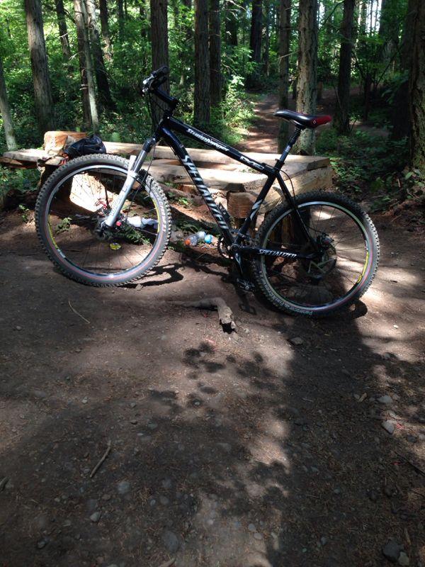 A black mountain bike leaning against a log on a dirt trail surrounded by tall trees in a lush green forest. Sunlight filters through the leaves, creating dappled shadows on the ground. Swan Creek mountain bike trail.