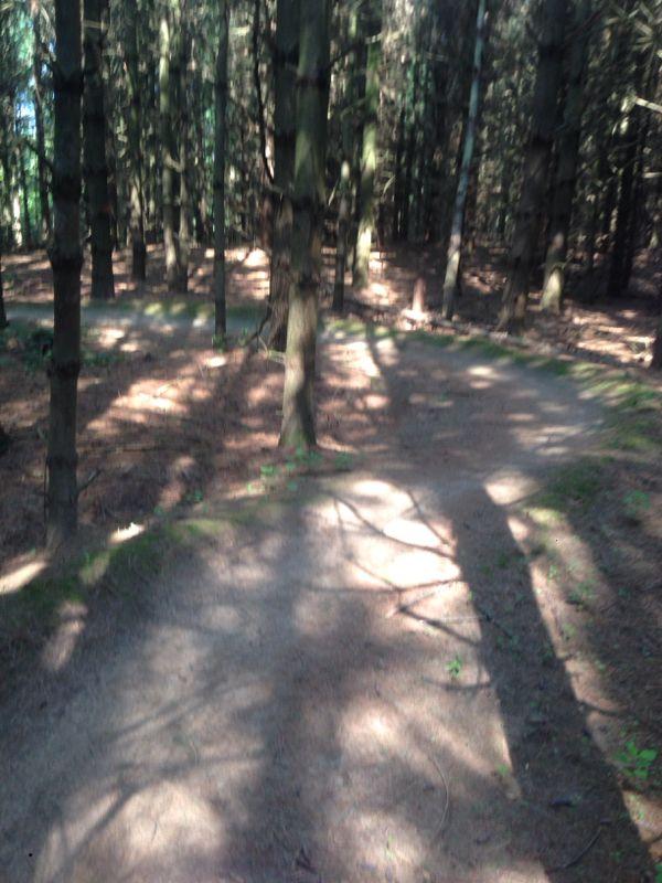  Christie Lake mountain bike trail.