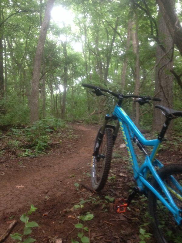 A blue mountain bike resting on a dirt trail surrounded by dense green foliage and trees in a serene forest setting. The path curves gently through the woods, inviting outdoor adventure. Percy Warner Mountain Bike Trails mountain bike trail.