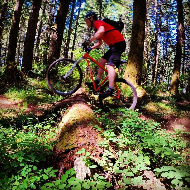 A mountain biker in a red shirt performs a jump over a fallen log in a wooded area, surrounded by lush green foliage and tall trees. The image captures the dynamic movement of the rider against a vibrant natural backdrop. Whypass mountain bike trail.