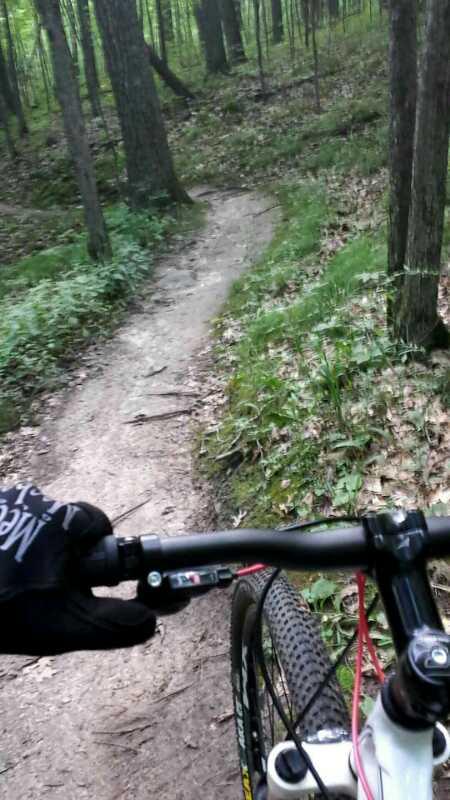 A close-up view of a cyclist's hand gripping the handlebars of a mountain bike, positioned on a winding dirt trail surrounded by greenery and trees in a forested area. Greenbush mountain bike trail.
