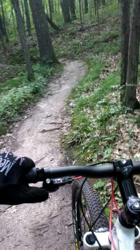A close-up view of a mountain bike handlebar with a black glove gripping it, set against a winding dirt trail in a lush green forest. The path is surrounded by trees and greenery, indicating a serene outdoor biking environment. Greenbush mountain bike trail.