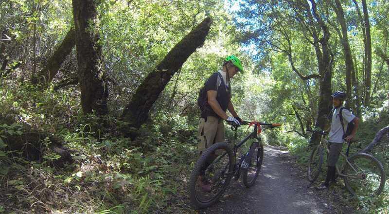 Two mountain bikers are standing on a dirt path surrounded by lush greenery and trees. One cyclist, wearing a green helmet and casual attire, is examining his bike. The other cyclist, dressed in a white shirt and with a backpack, is engaging in conversation. Sunlight filters through the trees, creating a vibrant outdoor atmosphere. Monte Bello / Rancho San Antonio mountain bike trail.