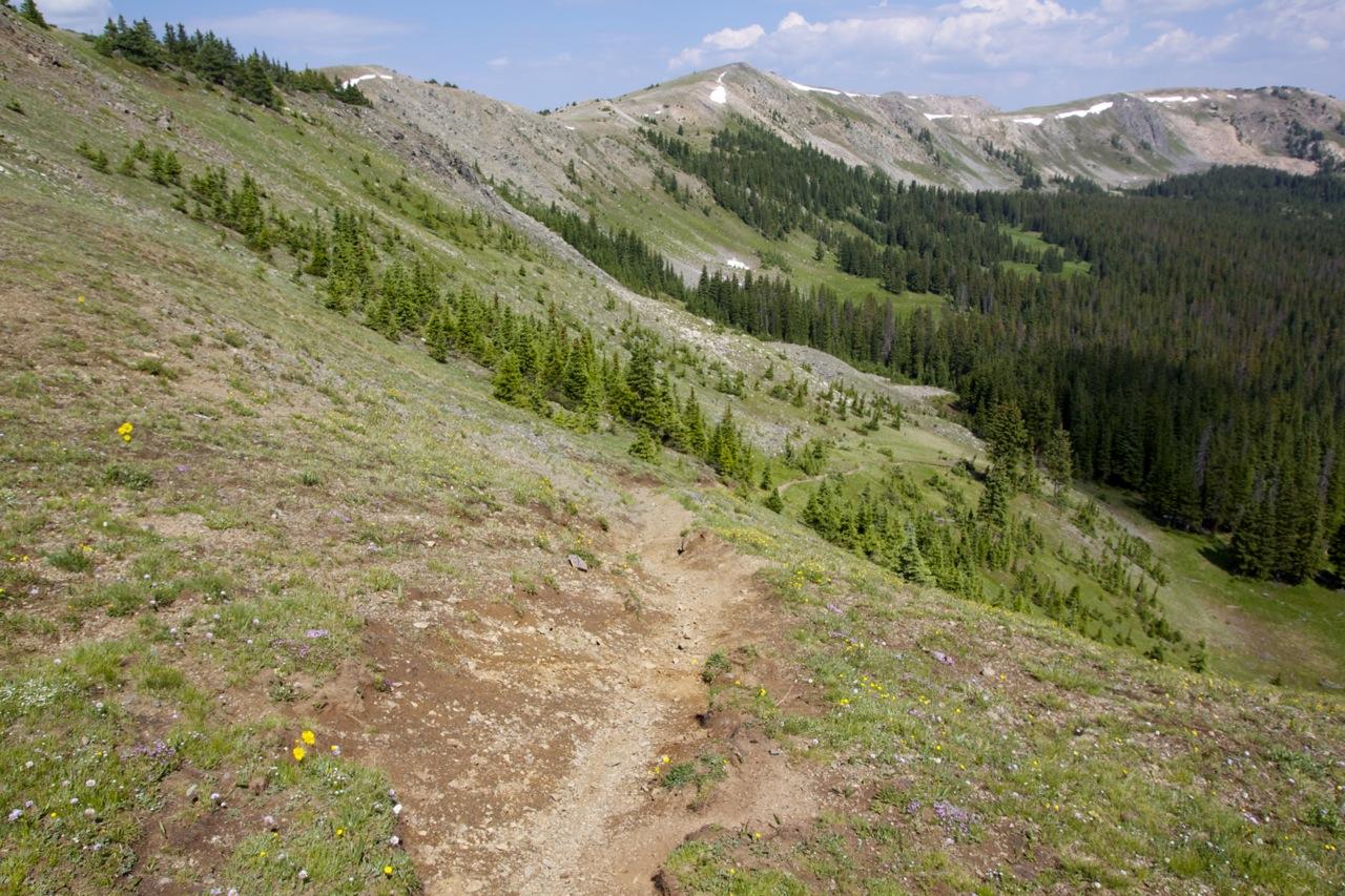 A winding dirt path leads through a lush green hillside, surrounded by a mix of vibrant wildflowers and evergreen trees. The landscape features rolling hills that stretch into the background, with distant mountains under a partly cloudy sky. Monarch Crest Trail mountain bike trail.