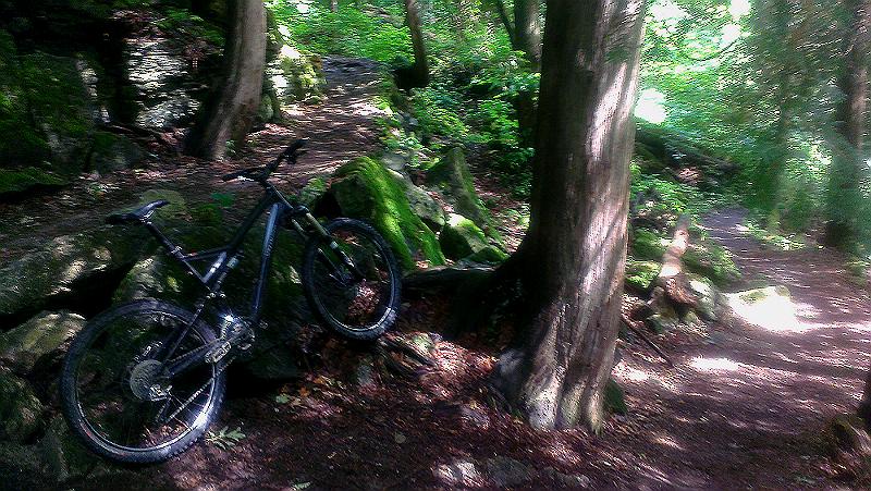 A mountain bike resting against a moss-covered rock in a lush green forest, with a winding dirt path visible in the background. Sunlight filters through the trees, creating a serene and natural atmosphere. Mono Cliffs Provincial Park mountain bike trail.