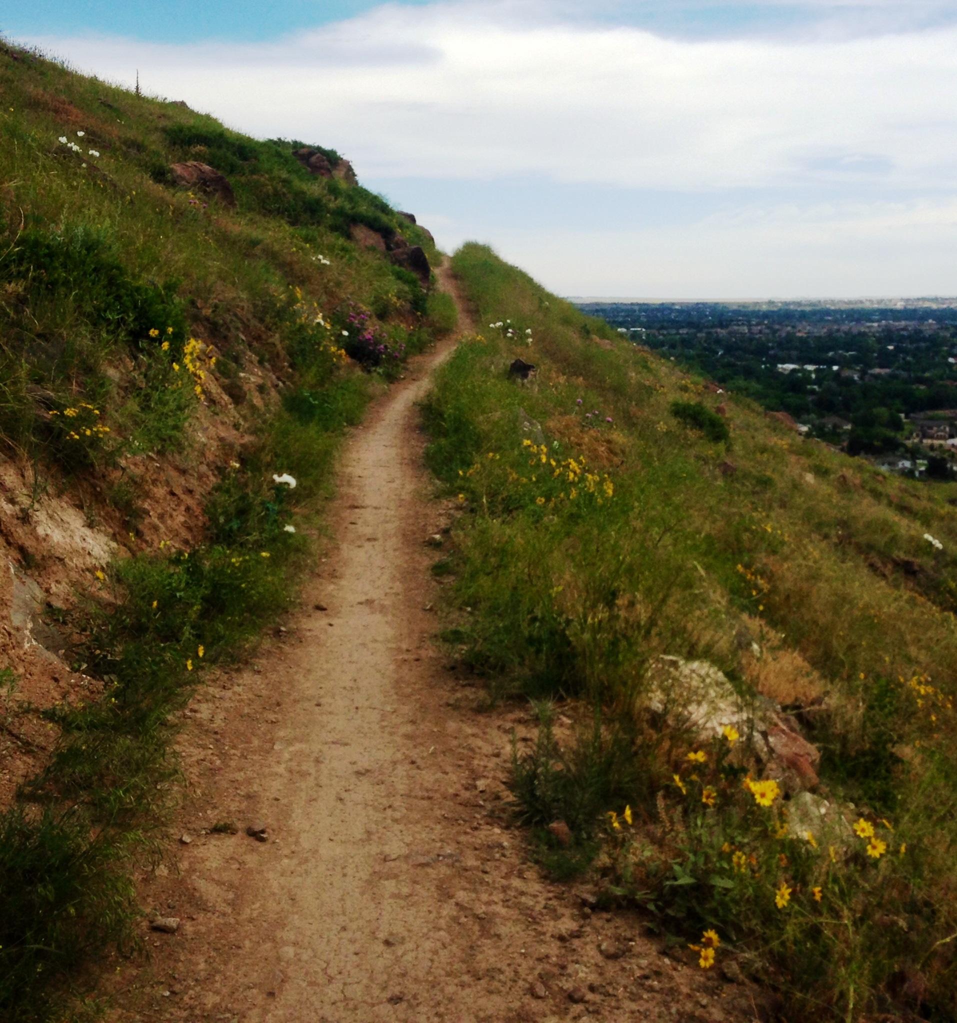 A narrow dirt path winding along a hillside, lined with wildflowers and grasses, offering a view of a distant landscape. The sky is partly cloudy, creating a peaceful and natural setting. North Table Mountain mountain bike trail.