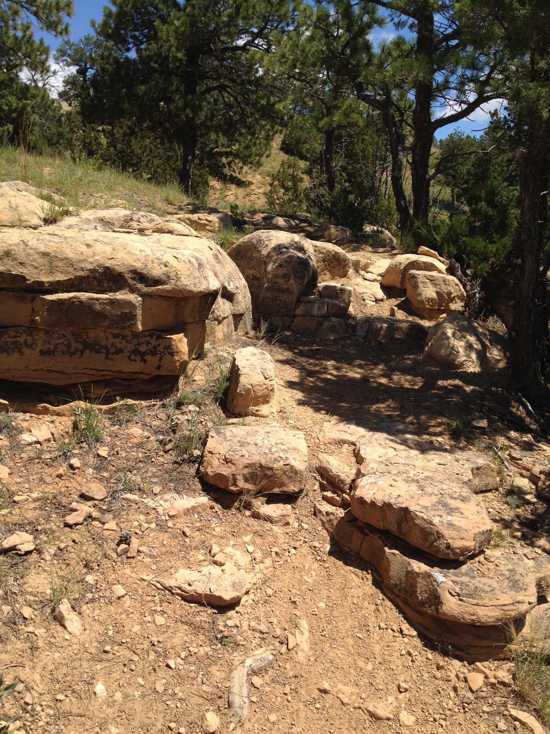 A rocky pathway surrounded by forested terrain, featuring large boulders and patches of grass, with tall pine trees in the background under a clear blue sky. Glendo State Park mountain bike trail.
