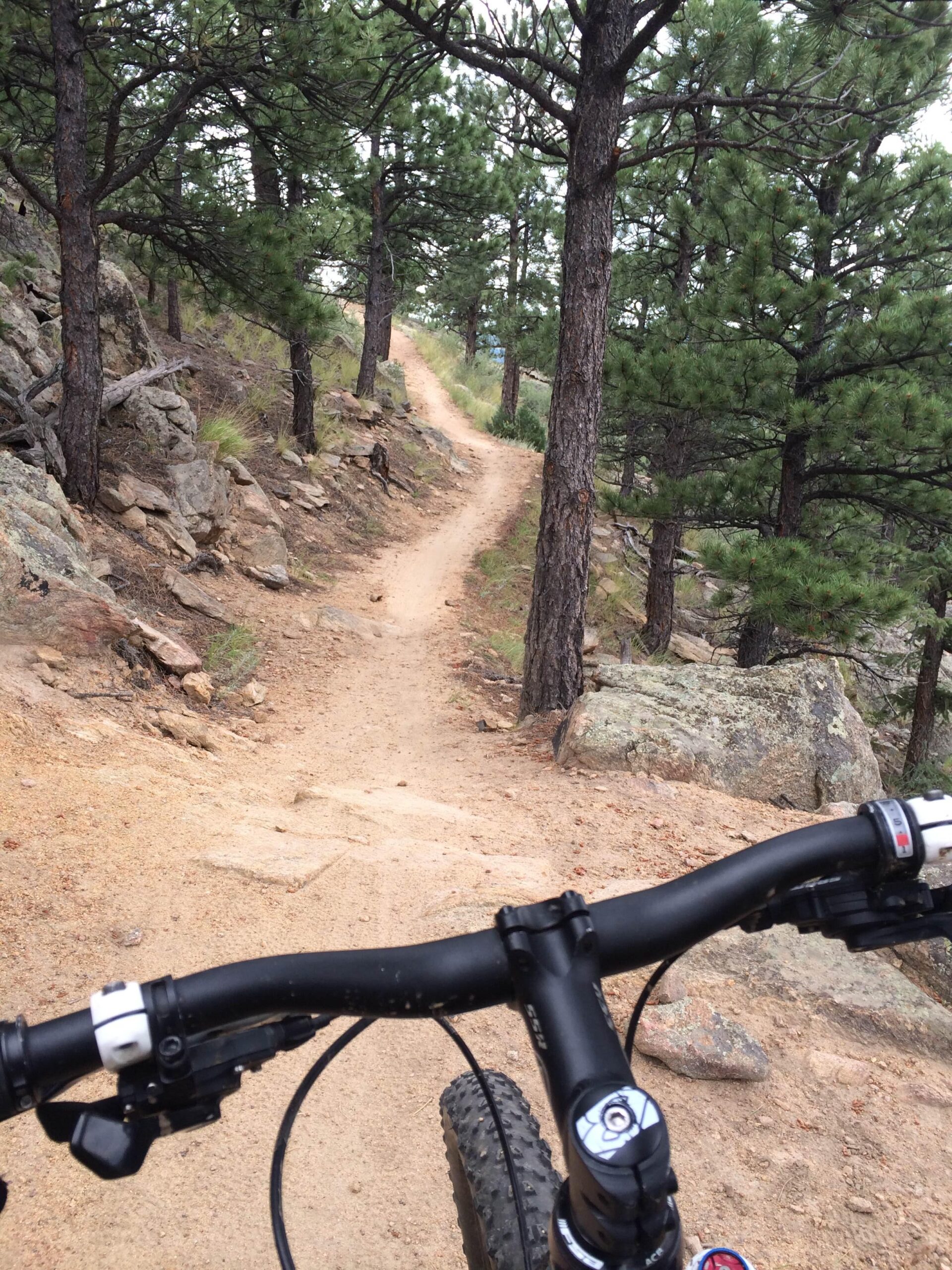A view from the handlebars of a mountain bike on a narrow dirt trail winding through a wooded area with tall pine trees and rocky terrain. The path is surrounded by greenery and boulders, suggesting an outdoor adventure in nature. Centennial Cone Park mountain bike trail.