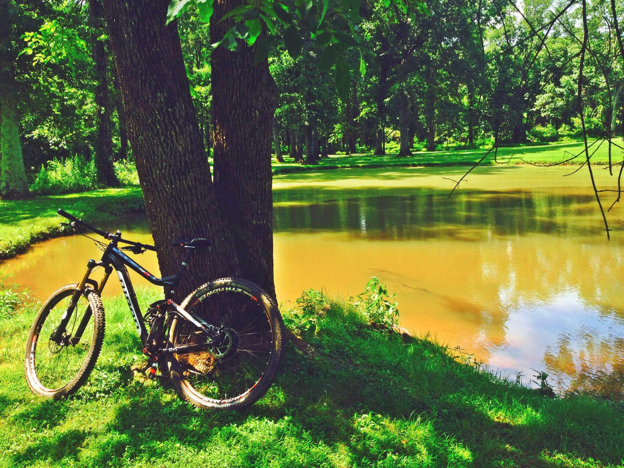 Niner RIP 9: A mountain bike resting against a tree next to a tranquil pond, surrounded by lush greenery and sunlight filtering through the leaves. The scene captures a peaceful outdoor setting, perfect for cycling and nature appreciation.