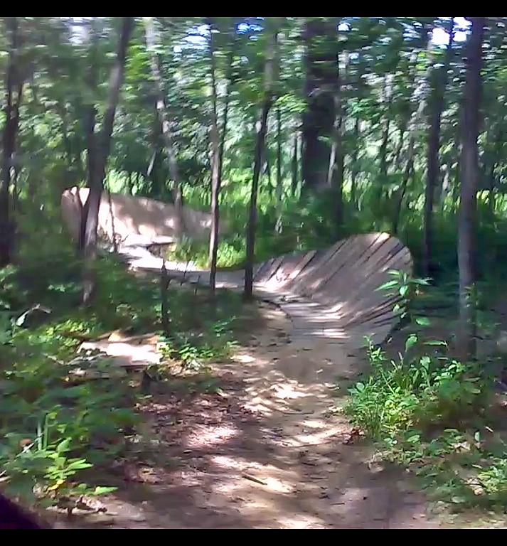 A forested path leading to wooden BMX jumps or trails, surrounded by lush greenery and tall trees. The sunlight filters through the leaves, creating a dappled effect on the ground. Outback Trail at Imagination Glenn mountain bike trail.