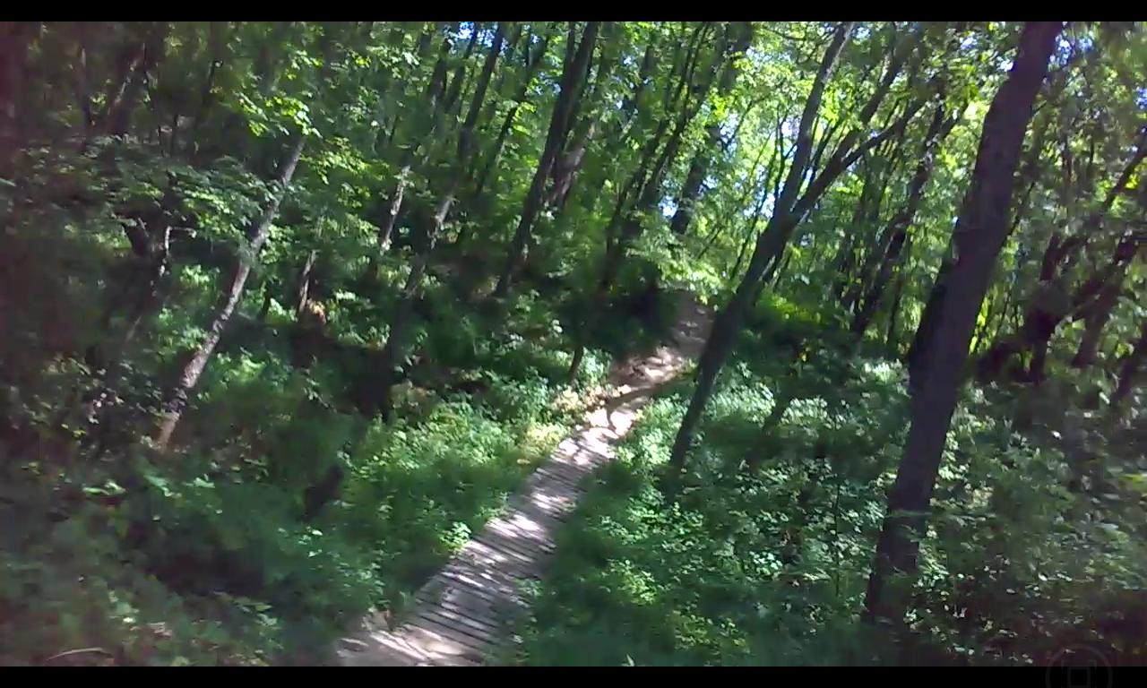 A winding wood path surrounded by lush greenery and tall trees in a forested area, with sunlight filtering through the leaves. Outback Trail at Imagination Glenn mountain bike trail.