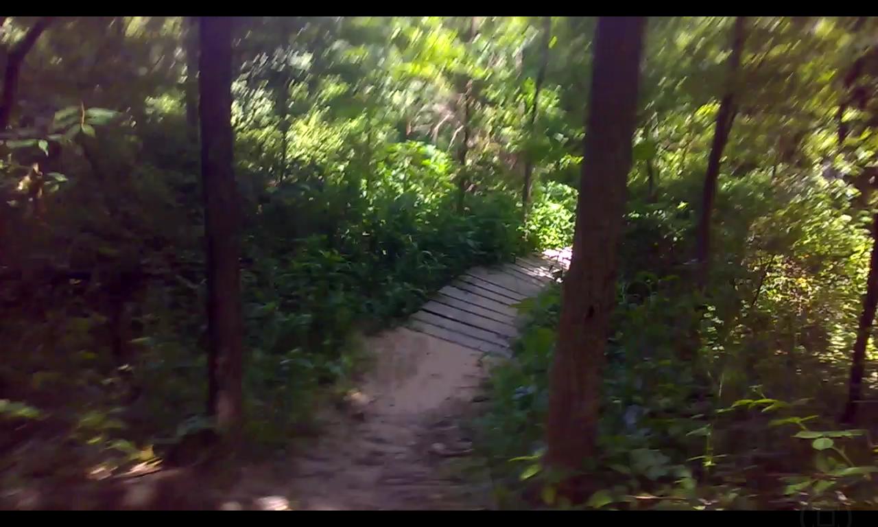 A narrow wooden bridge crosses a sandy path surrounded by lush greenery and trees in a sunlit forest. Outback Trail at Imagination Glenn mountain bike trail.