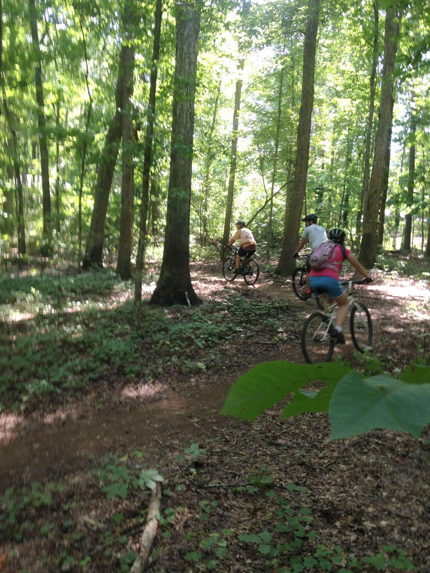 Three mountain bikers navigate a winding trail through a lush green forest, surrounded by tall trees and dense foliage. Sunlight filters through the leaves, creating a dappled effect on the ground as they ride. Dupree Park mountain bike trail.