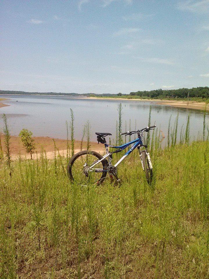 Gary Fisher Sugar 3+: A mountain bike leaning against tall green grass near a calm lake. The background features a sandy shore and a clear blue sky.