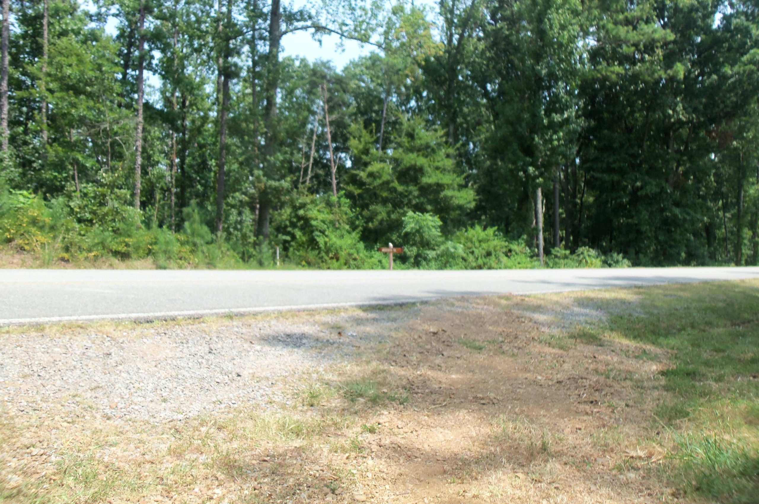 A quiet, tree-lined road with greenery on both sides. The pavement is visible, and there is a small patch of gravel and dirt in the foreground, leading to a wooded area. Lake Guntersville State Park mountain bike trail.