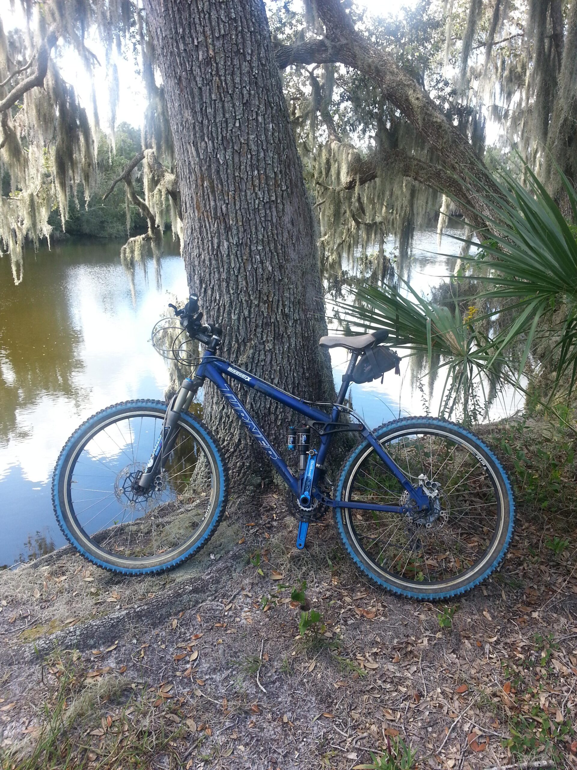 Turner 5.Spot: A blue mountain bike leaning against a large tree near a calm body of water, surrounded by greenery and hanging Spanish moss.