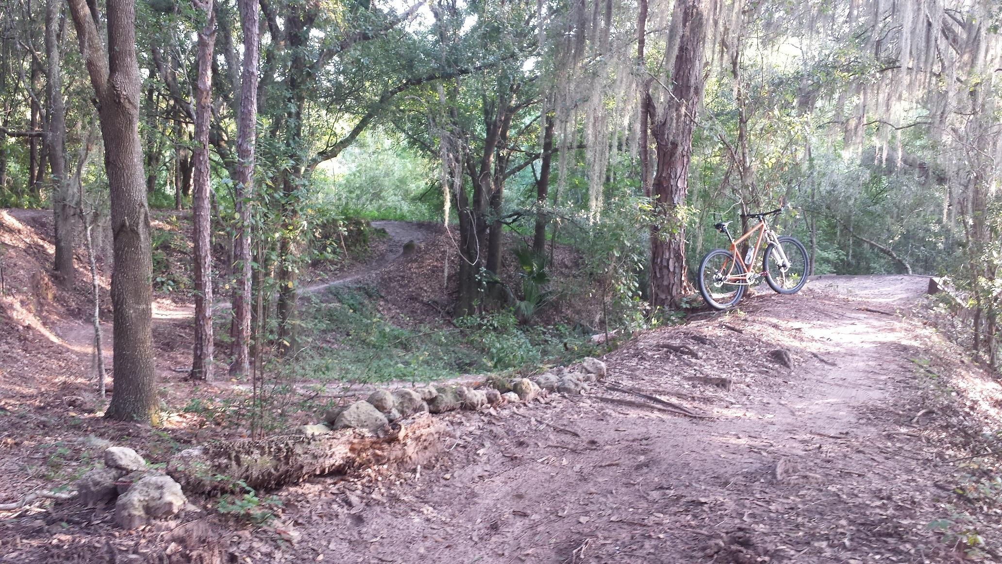 A mountain bike leaning against a tree on a dirt trail surrounded by lush greenery. The path curves in the background, showcasing a scenic, wooded area ideal for cycling. Sunlight filters through the trees, creating a peaceful outdoor atmosphere. Balm Boyette Scrub Preserve mountain bike trail.