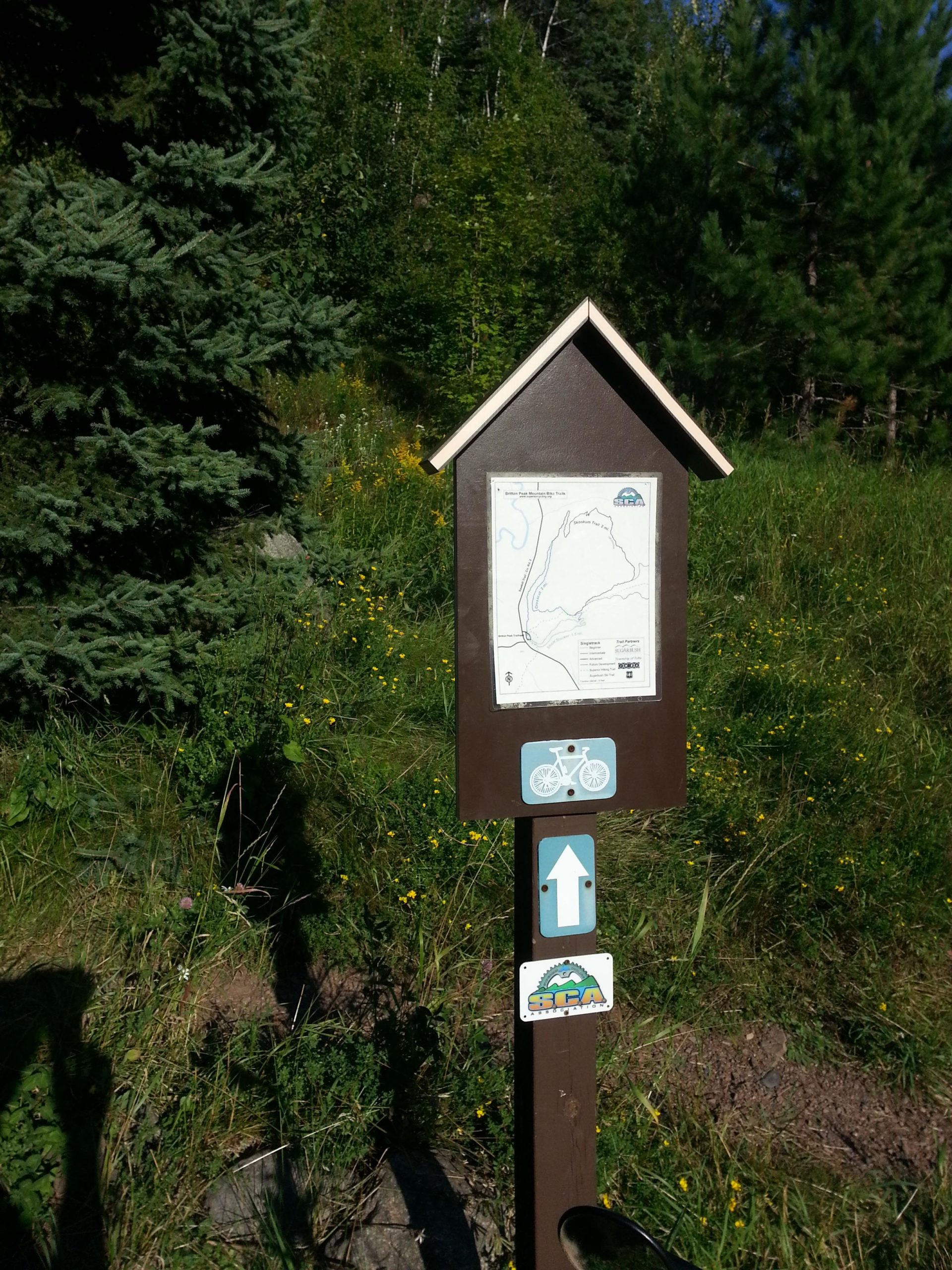A trailhead sign featuring a map of the surrounding area, with icons for biking and directional arrows. The sign is brown with a peaked top, surrounded by green foliage and wildflowers. Sunlight illuminates the scene, highlighting the natural surroundings. Crosscut mountain bike trail.