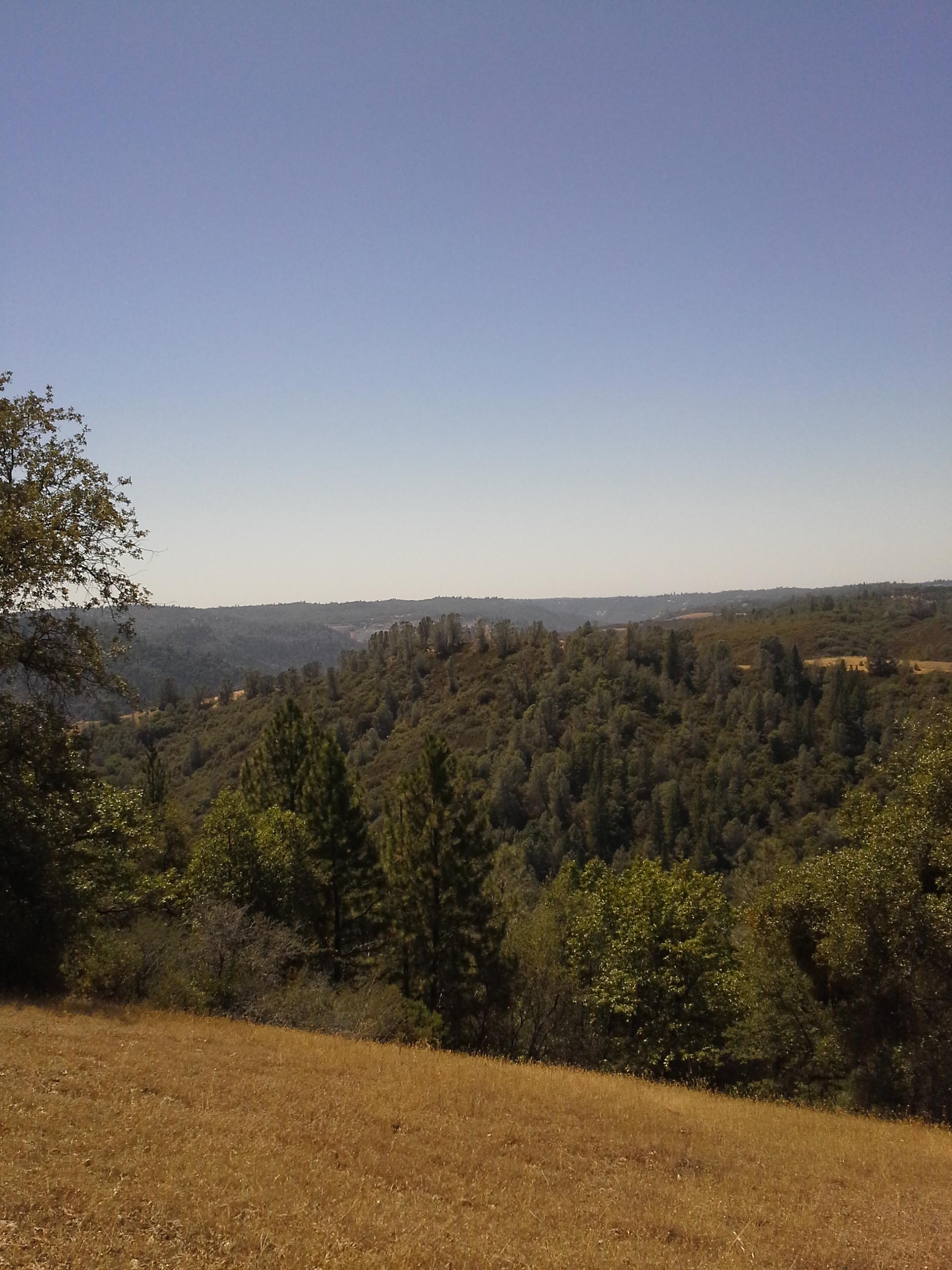 A scenic view of rolling hills covered in a mix of green trees and dry grass under a clear blue sky. The landscape features varying elevations and a tranquil atmosphere, reflecting the beauty of nature. Foresthill Divide mountain bike trail.
