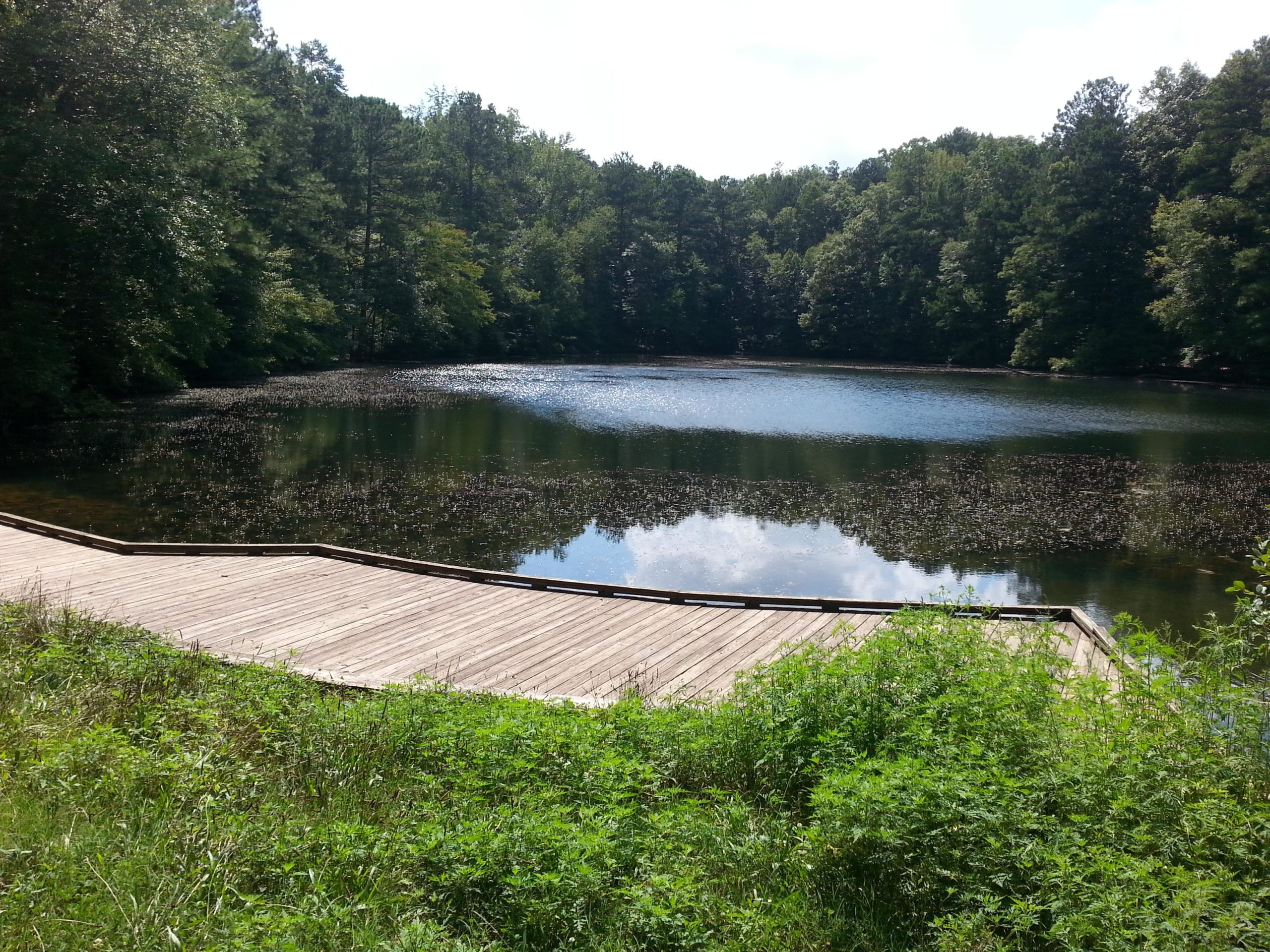 A tranquil scene of a wooded area reflected in a calm lake, with a wooden boardwalk curving along the water's edge. Lush green foliage surrounds the lake, creating a peaceful natural setting. Sope Creek mountain bike trail.