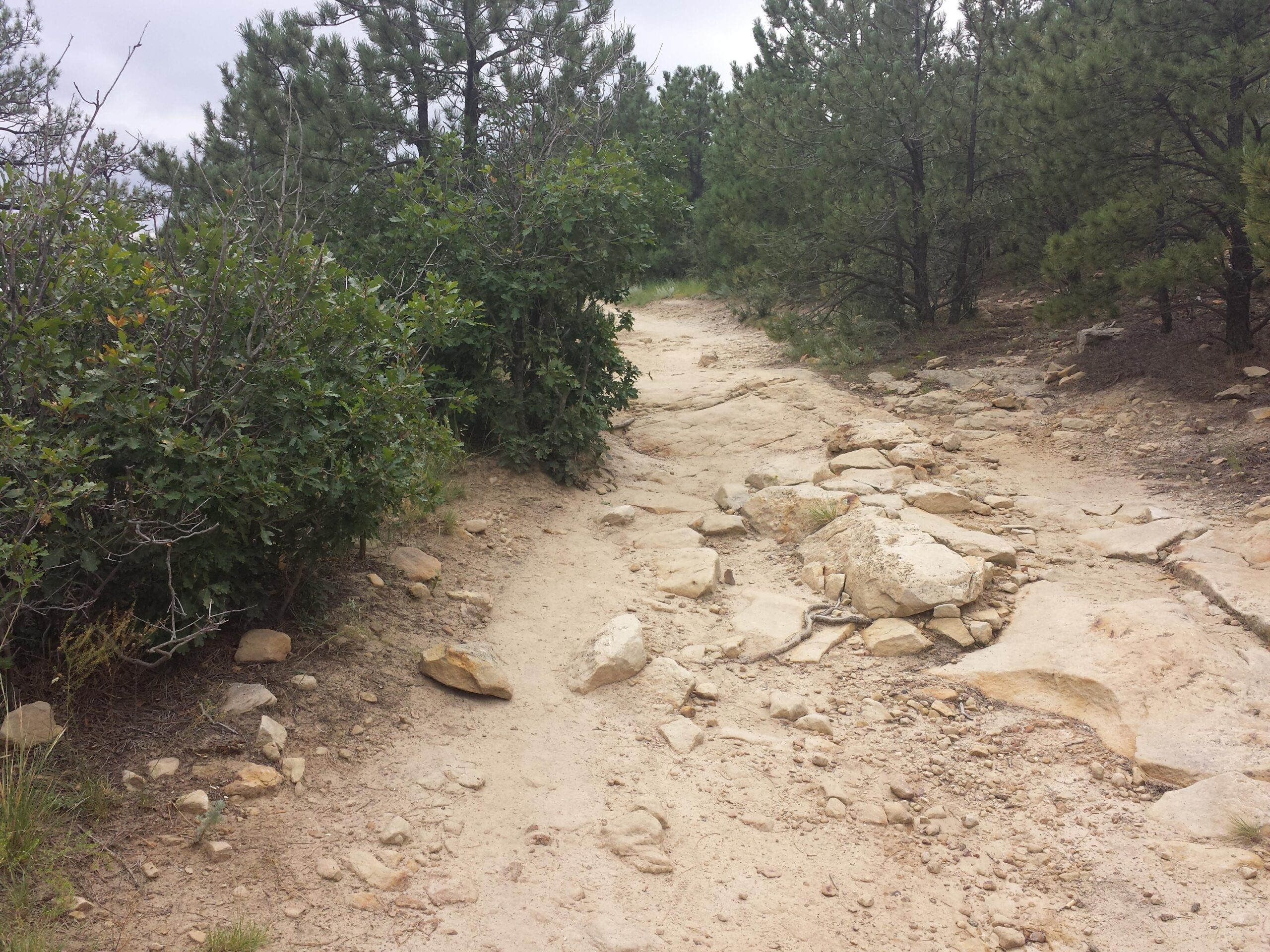 A rocky dirt trail winding through a forested area with green shrubs and pine trees on either side, under a cloudy sky. Ute Valley Park mountain bike trail.