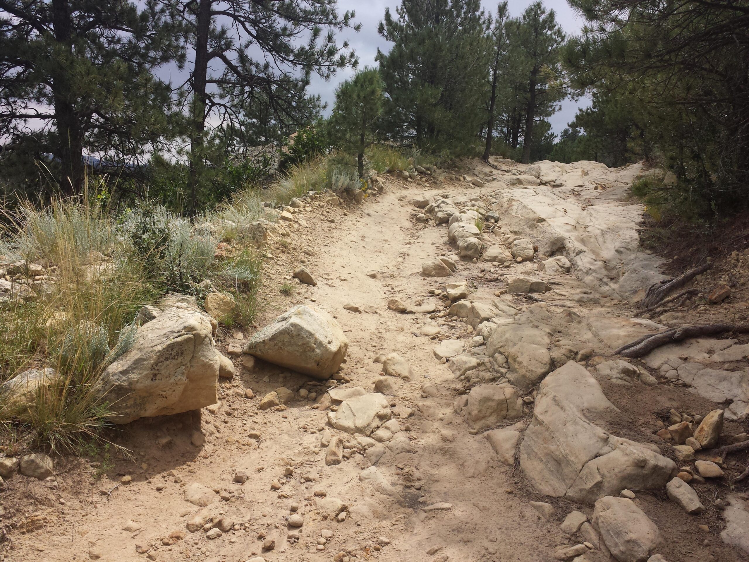 Rocky hiking trail surrounded by trees and shrubs under a cloudy sky. Ute Valley Park mountain bike trail.