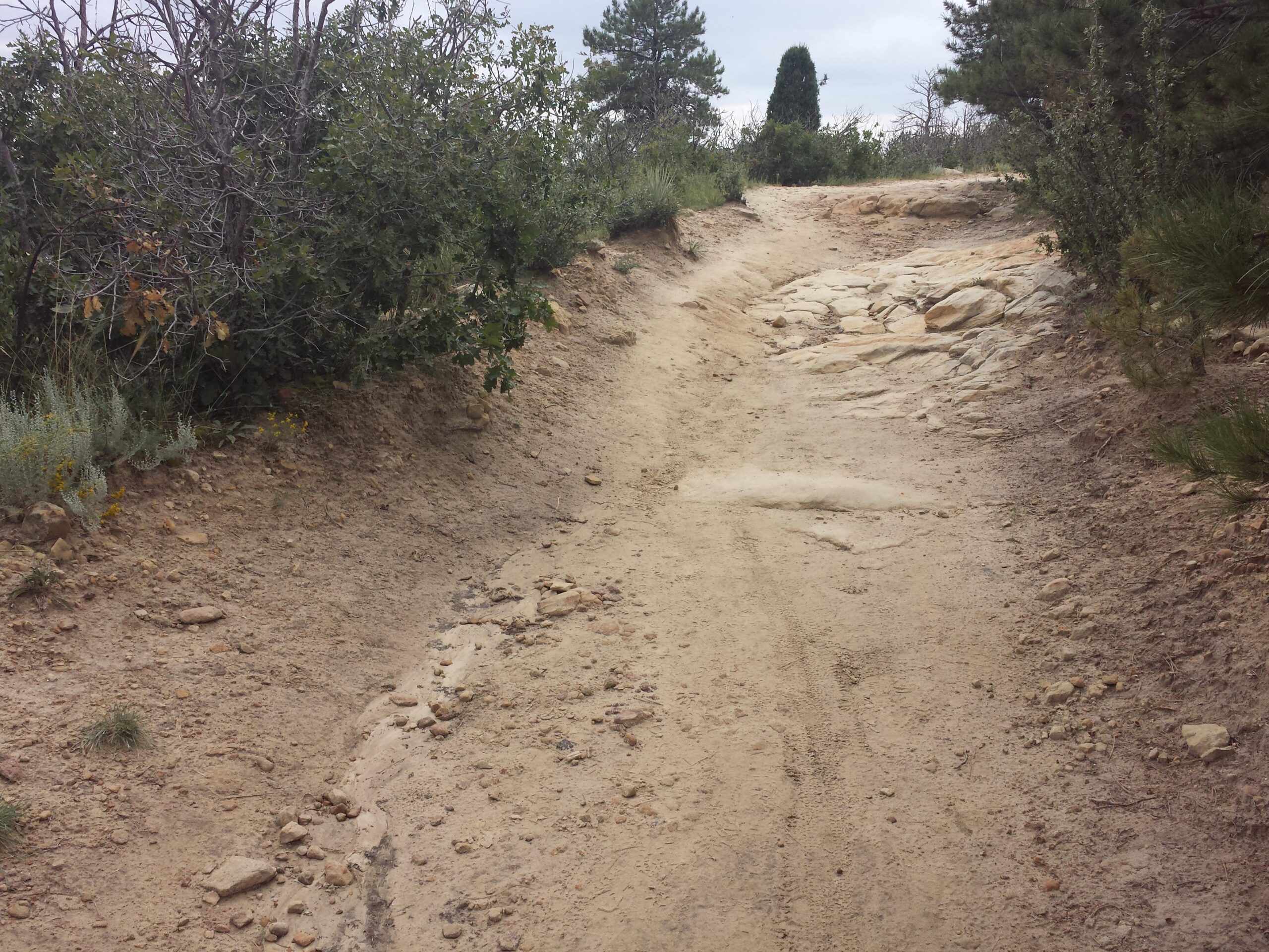 A narrow dirt path winding through a rocky terrain, bordered by sparse vegetation and shrubs, under a cloudy sky. Ute Valley Park mountain bike trail.