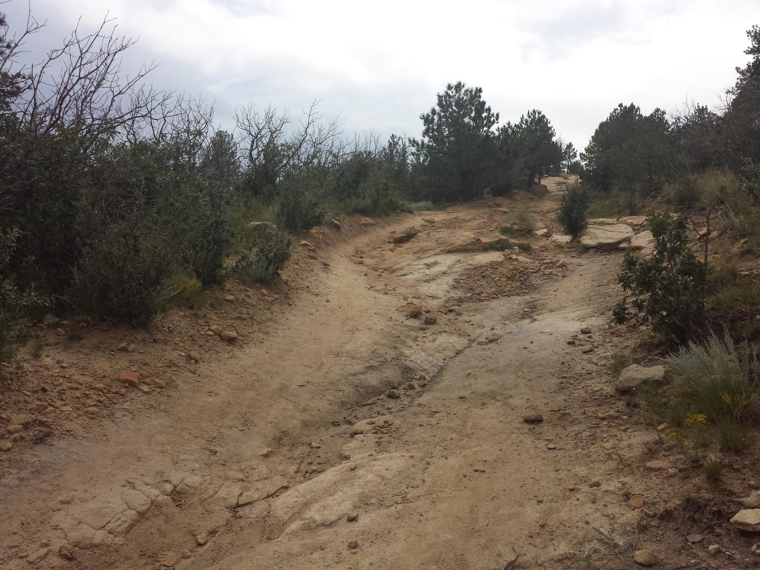 A rugged hiking trail winding through a wooded area, featuring a mix of dirt and rocky terrain, surrounded by shrubs and sparse trees under a cloudy sky. Ute Valley Park mountain bike trail.