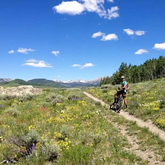 A person riding a mountain bike along a narrow trail surrounded by vibrant wildflowers, with rolling hills and snow-capped mountains in the distance under a clear blue sky with fluffy clouds. Lupine Trail mountain bike trail.
