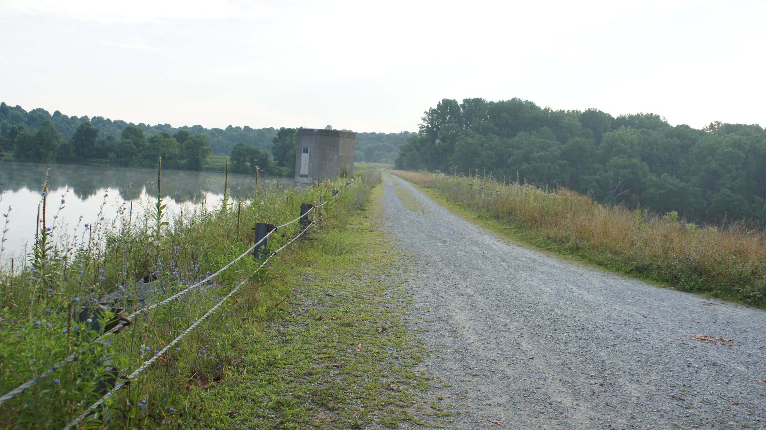 A gravel path runs alongside a calm body of water, bordered by lush greenery and wildflowers. In the background, a small concrete building is situated near the water's edge, while trees can be seen further away, creating a serene and natural landscape under a light gray sky. Marsh Creek Park mountain bike trail.