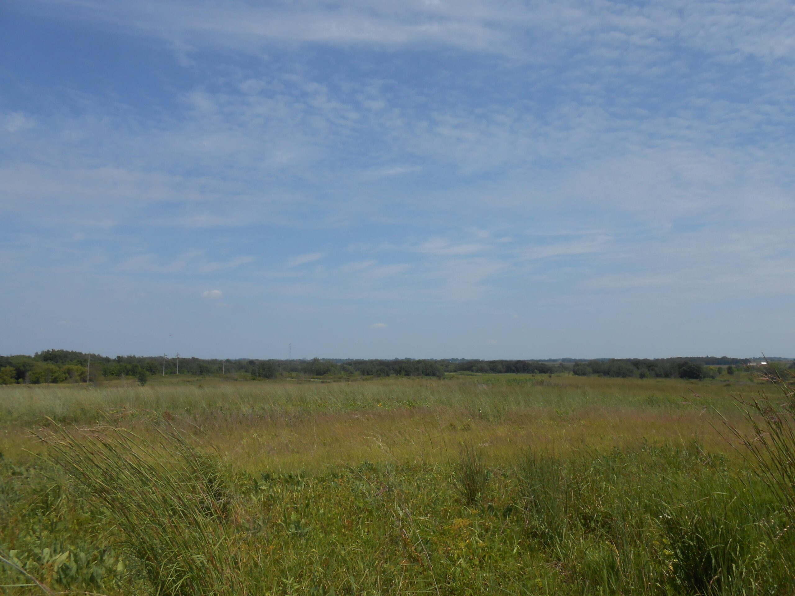 A panoramic view of a grassy landscape under a partly cloudy blue sky, with lush green fields stretching toward the horizon and a mixture of trees and distant structures visible in the background. Myre Big Island State Park mountain bike trail.