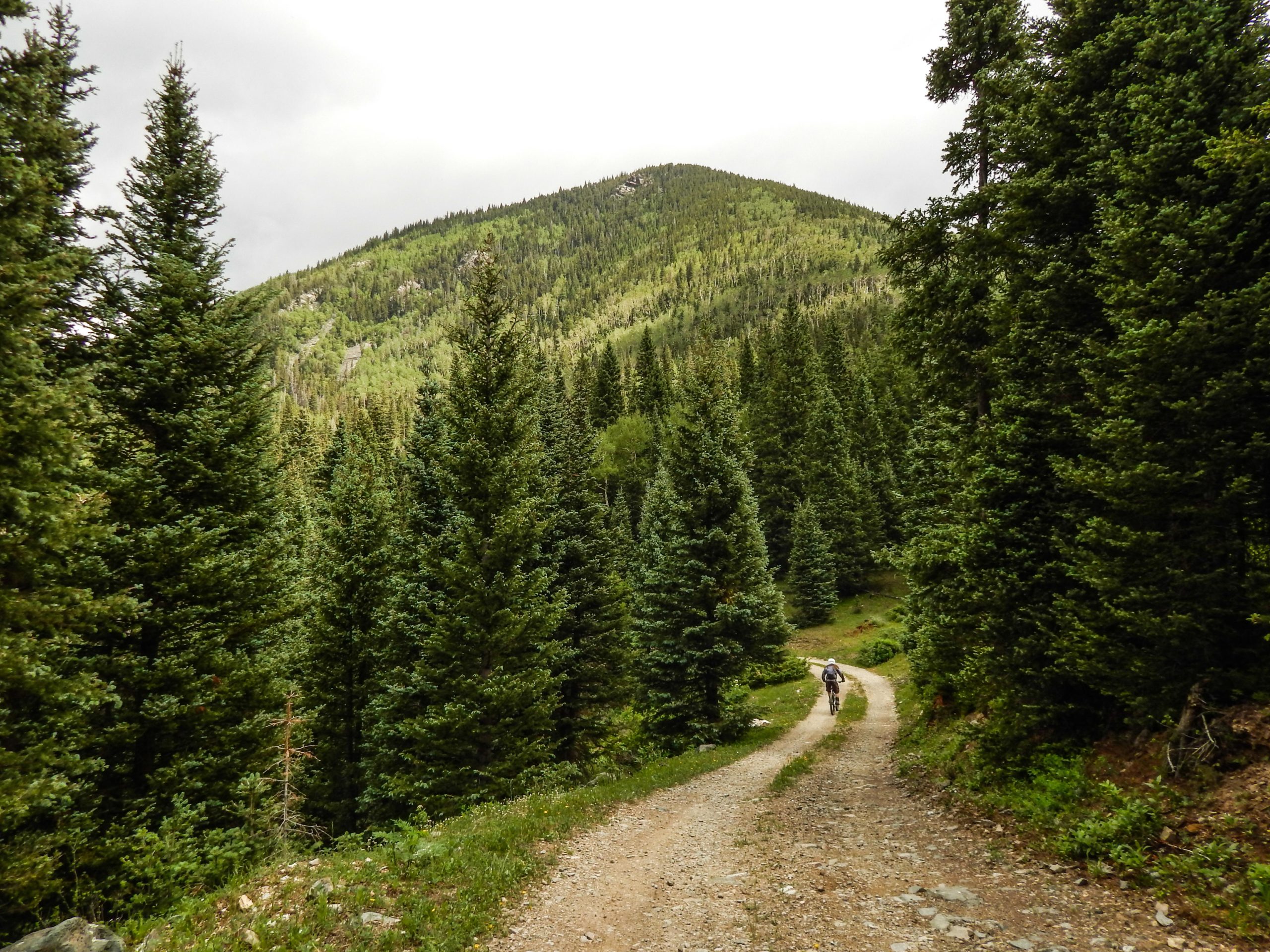 A mountainous landscape featuring a winding dirt path surrounded by tall evergreen trees. A lone hiker can be seen walking along the trail, with a green hill rising in the background under a partly cloudy sky. Northside At Taos Ski Valley mountain bike trail.