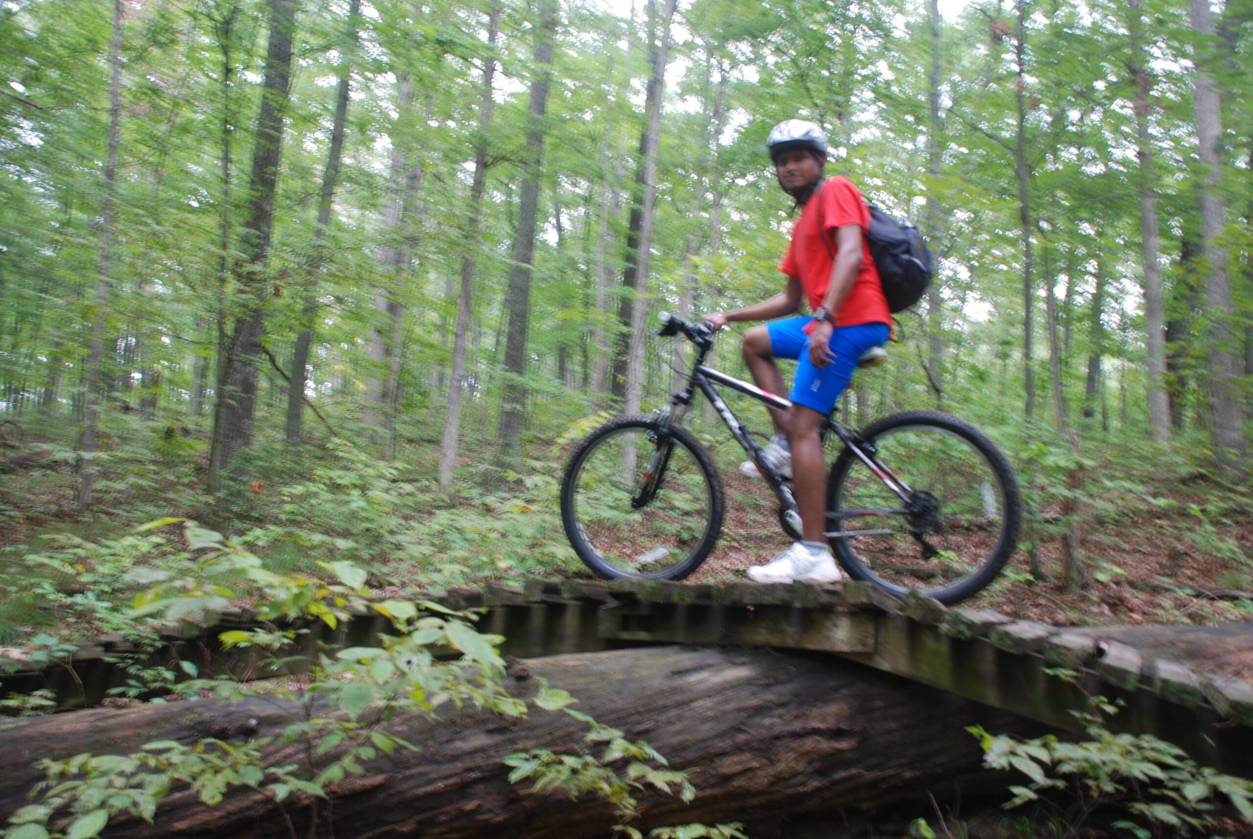 A person riding a mountain bike while standing on a wooden bridge over a fallen log, surrounded by dense greenery in a forest setting. The individual is wearing a helmet, a red shirt, and blue shorts, with a backpack on their back. Brown County Park mountain bike trail.
