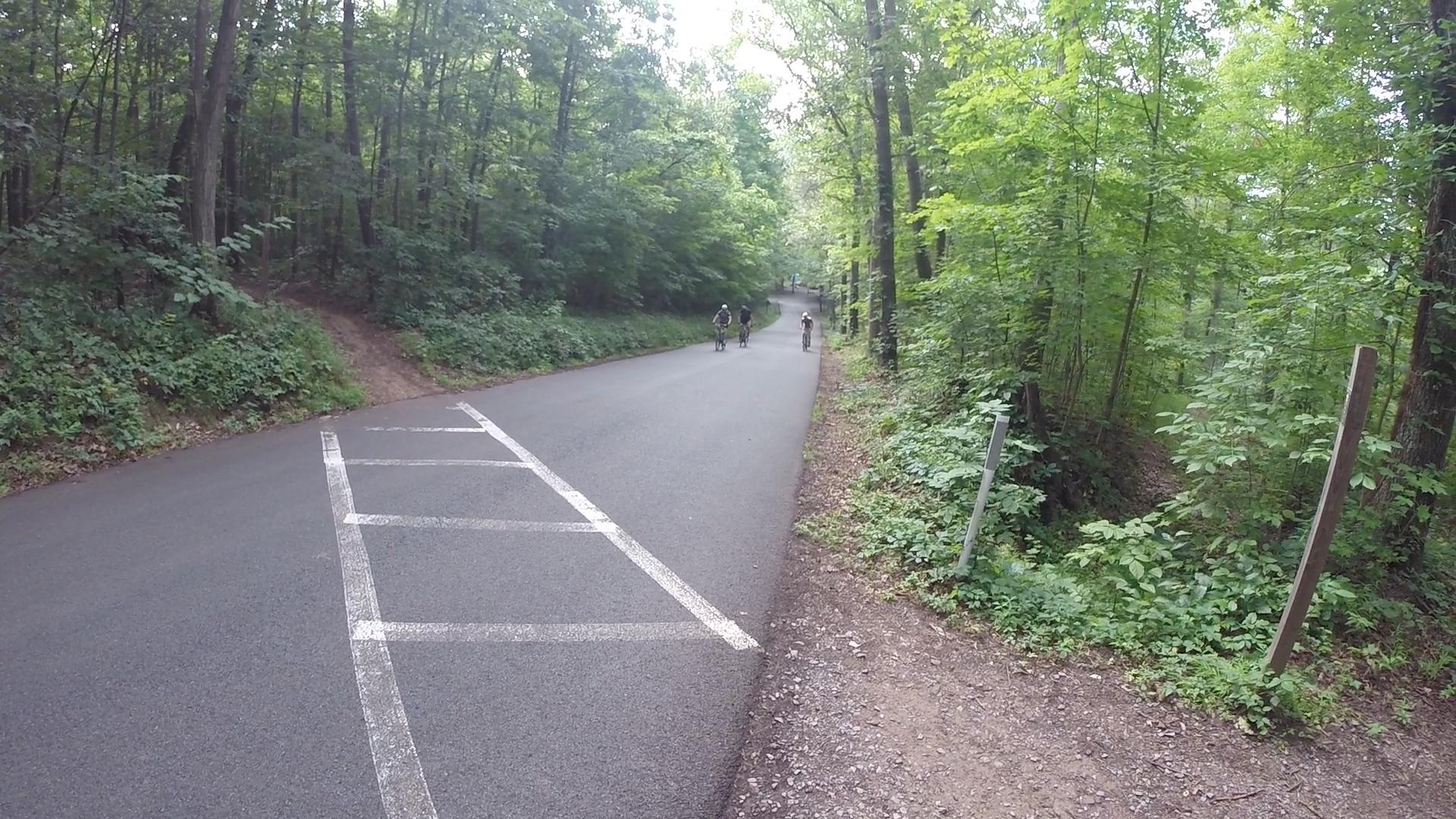 A scenic view of a winding road cuts through a lush green forest, with several cyclists riding along it. The road is flanked by dense trees and greenery, and a dirt path diverges into the woods on the left side. The atmosphere suggests a peaceful outdoor setting, ideal for biking and nature activities. Allegrippis Trails mountain bike trail.