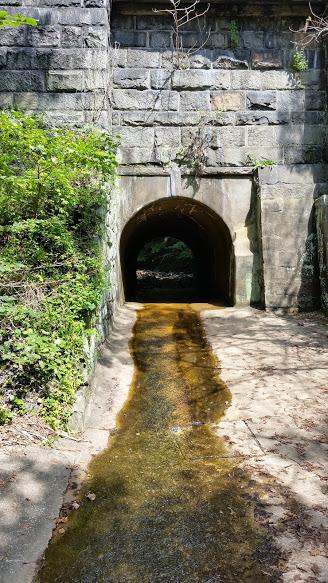 A stone tunnel opening surrounded by greenery, with a small stream of water flowing through the foreground. The tunnel's archway is dark, leading into the interior, while the walls are made of rough, weathered stone. Sunlight filters in, highlighting the lush vegetation on either side. Patapsco Valley State Park (Avalon Area) mountain bike trail.