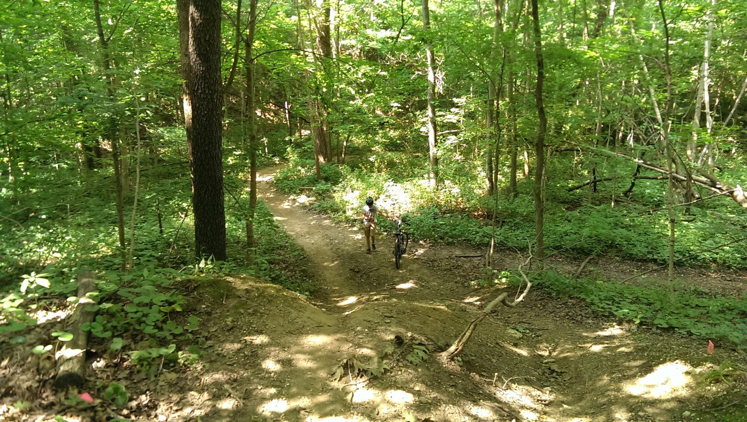 A person walking a bike along a dirt trail in a lush, green forest. Tall trees and dense foliage surround the path, which curves gently through the natural landscape. Sunlight filters through the leaves, creating a dappled effect on the ground. Kickapoo mountain bike trail.