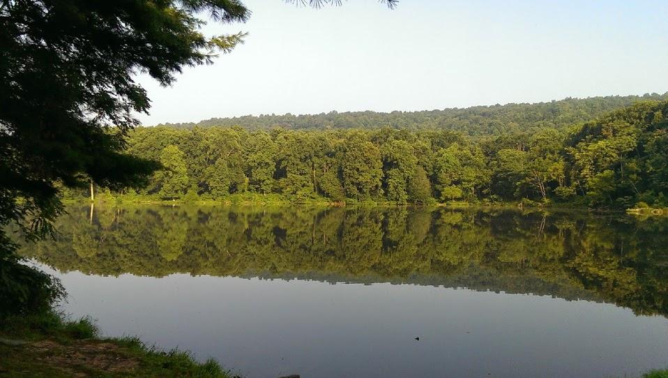 A serene view of a calm lake surrounded by lush green trees, with the water reflecting the forested hills in the background under a clear sky. Emmitsburg Watershed mountain bike trail.