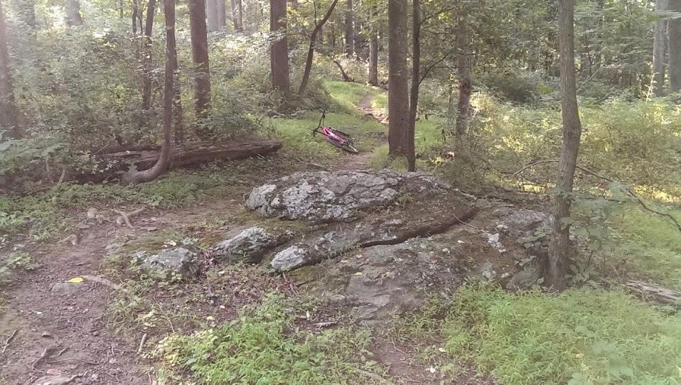 A rocky outcrop covered in moss and surrounded by dense forest foliage, with a faint path leading into the woods. In the background, a bike is parked against a tree. Emmitsburg Watershed mountain bike trail.